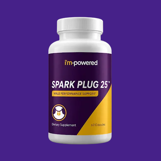 Spark Plug 25